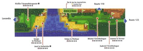 pokemon omega ruby route 118.